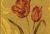 5465713 GOODWYN/SUNSET 5465713 GOODWYN/SUNSET