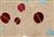 5473312 GABE/BERRY 5473312 GABE/BERRY