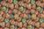 5547012 LINVILLE SIENNA 5547012 LINVILLE SIENNA