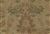 5721711 EMBRACE/MUSTARD SEED 5721711 EMBRACE/MUSTARD SEED