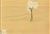 5744712 KENDALL/GOLDEN HUES 5744712 KENDALL/GOLDEN HUES