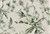 6424912 Waverly SWEET BAY CYPRESS 681902 Floral Linen Blend Fabric 6424912 Waverly SWEET BAY CYPRESS 681902 Floral Linen Blend Fabric