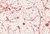 6713612 SHAWNA RASPBERRY Contemporary Linen Blend Fabric 6713612 SHAWNA RASPBERRY Contemporary Linen Blend Fabric