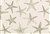 6737011 Scott Living Fabrics STARFISH CASTLE Tropical Linen Blend Fabric 6737011 Scott Living Fabrics STARFISH CASTLE Tropical Linen Blend Fabric