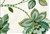 6763112 P Kaufmann FLORET SWA 002 SPA Floral Linen Blend Fabric 6763112 P Kaufmann FLORET SWA 002 SPA Floral Linen Blend Fabric