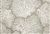6831012 GRAND DRIFTWOOD Tropical Print Fabric 6831012 GRAND DRIFTWOOD Tropical Print Fabric